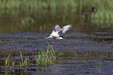 BUITEN BEELD Foto: 450418