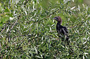 BUITEN BEELD Foto: 450424