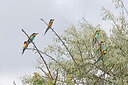 BUITEN BEELD Foto: 450428