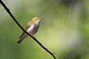BUITEN BEELD Foto: 450438