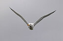 BUITEN BEELD Foto: 450439