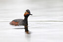 BUITEN BEELD Foto: 450440