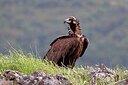 BUITEN BEELD Foto: 450449