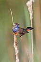 BUITEN BEELD Foto: 450468