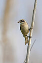 BUITEN BEELD Foto: 450472