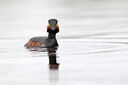 BUITEN BEELD Foto: 450476