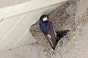 BUITEN BEELD Foto: 450490