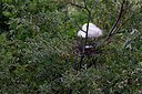BUITEN BEELD Foto: 450493