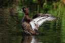 BUITEN BEELD Foto: 450496