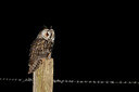 BUITEN BEELD Foto: 450502