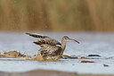 BUITEN BEELD Foto: 450503