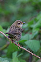 BUITEN BEELD Foto: 450507