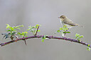 BUITEN BEELD Foto: 450509