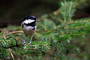 BUITEN BEELD Foto: 450518