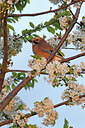 BUITEN BEELD Foto: 450532