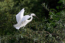 BUITEN BEELD Foto: 450545
