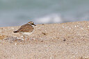 BUITEN BEELD Foto: 450570