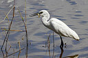 BUITEN BEELD Foto: 450571