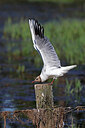 BUITEN BEELD Foto: 450576