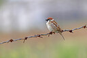 BUITEN BEELD Foto: 450579