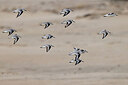 BUITEN BEELD Foto: 450583