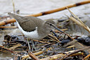 BUITEN BEELD Foto: 450591