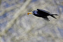 BUITEN BEELD Foto: 450593