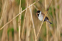 BUITEN BEELD Foto: 450598