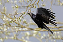 BUITEN BEELD Foto: 450601
