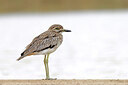 BUITEN BEELD Foto: 450603