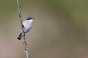 BUITEN BEELD Foto: 450620