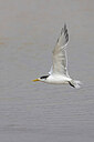 BUITEN BEELD Foto: 450628