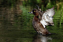 BUITEN BEELD Foto: 450631