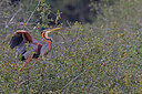 BUITEN BEELD Foto: 450639