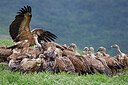 BUITEN BEELD Foto: 450641