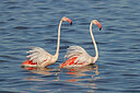 BUITEN BEELD Foto: 450651