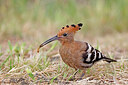BUITEN BEELD Foto: 450663