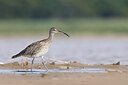 BUITEN BEELD Foto: 450679