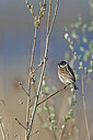 BUITEN BEELD Foto: 450681