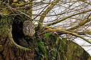 BUITEN BEELD Foto: 450695