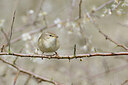 BUITEN BEELD Foto: 450744