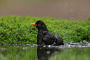 BUITEN BEELD Foto: 450752