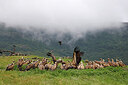 BUITEN BEELD Foto: 450753