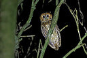 BUITEN BEELD Foto: 450764