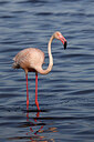 BUITEN BEELD Foto: 450766