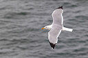 BUITEN BEELD Foto: 450769