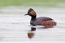 BUITEN BEELD Foto: 450770
