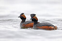 BUITEN BEELD Foto: 450771