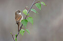 BUITEN BEELD Foto: 450772