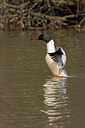 BUITEN BEELD Foto: 450778